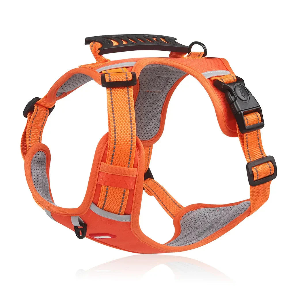 NoPull Pasja Ogrlica – WalkEase