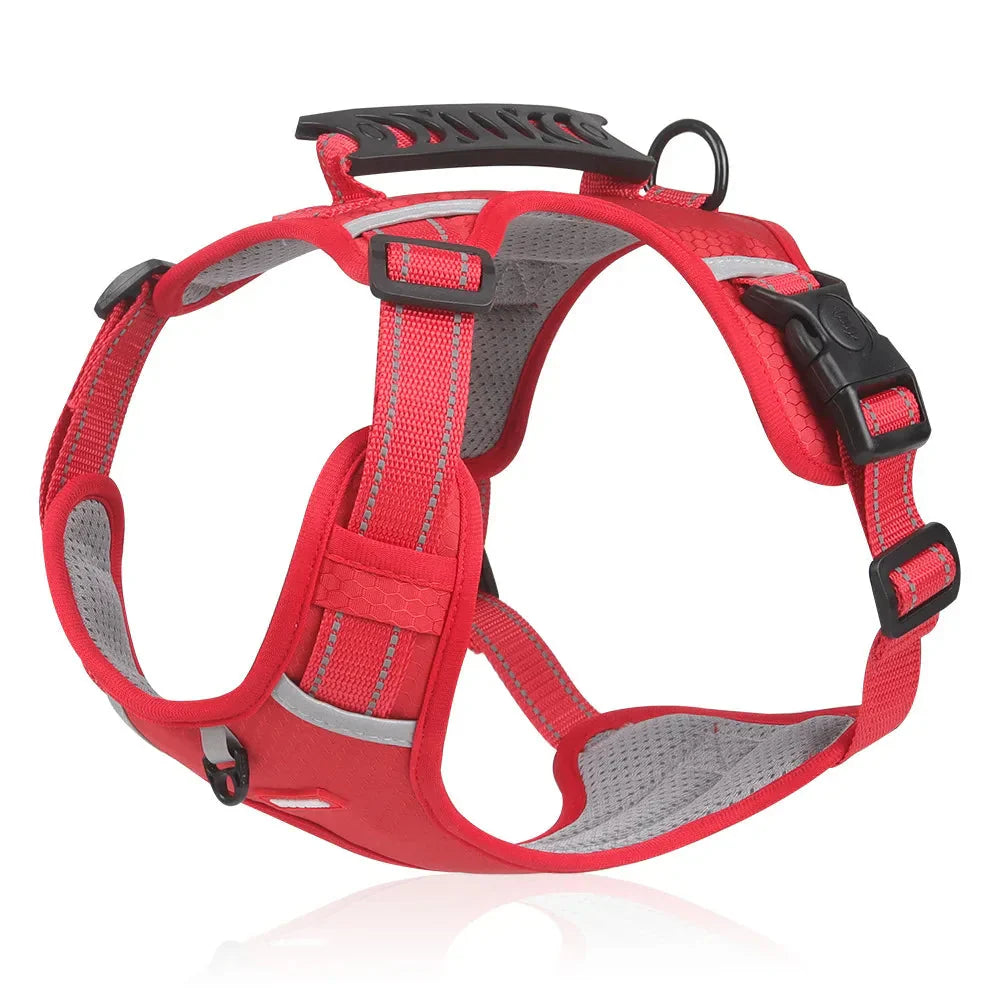 NoPull Pasja Ogrlica – WalkEase