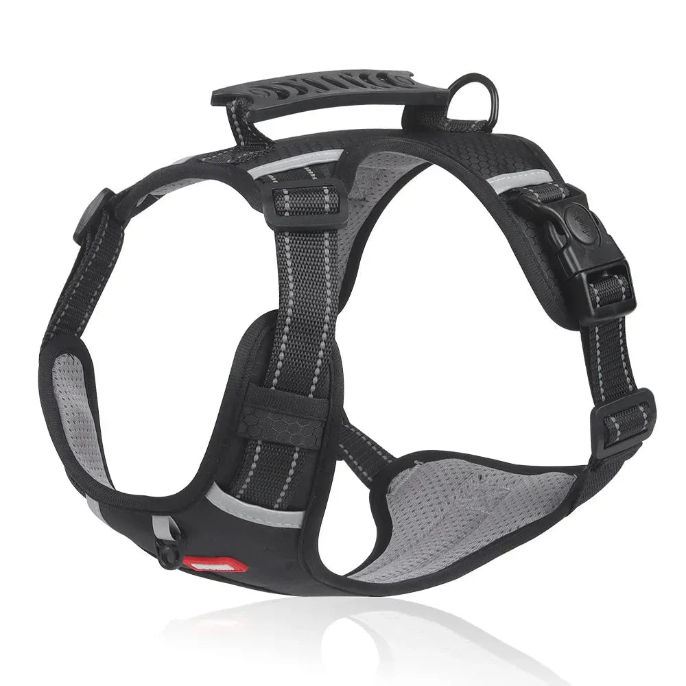 NoPull Pasja Ogrlica – WalkEase
