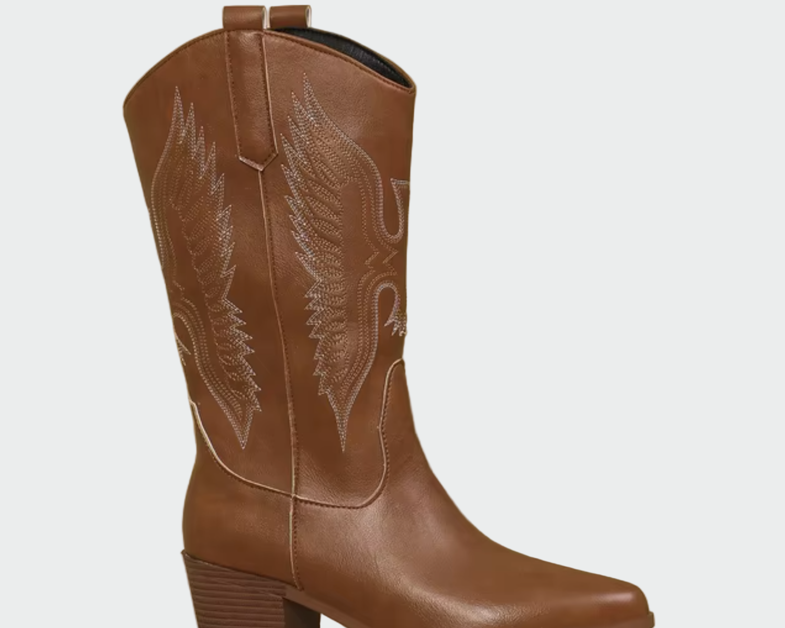 Bijana - Ženske Zapadnjačke Čizme s Vezom Perja