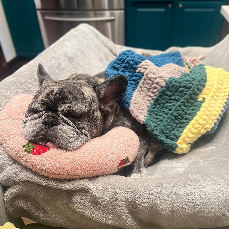 CozyPaws Jastučić za Pse - RelaxPad