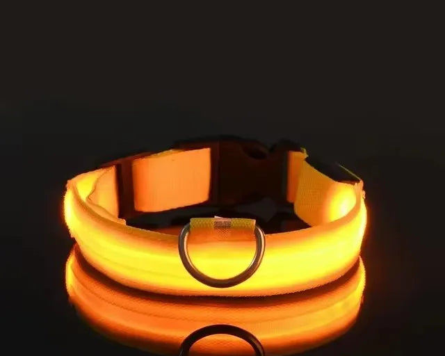 BOOTEELY LED najlonska povodac i ogrlica za pse