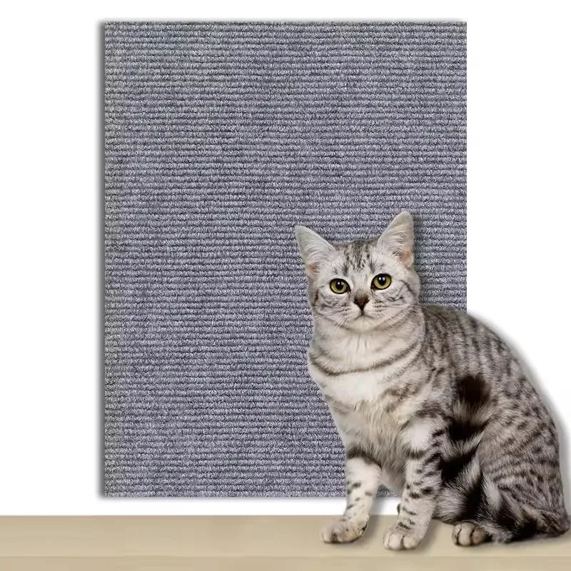 Zaštita sofe od grebanja za mačke