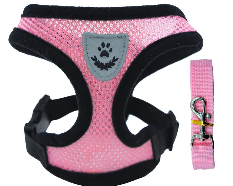 Ljetna Ogrlica i Povodac za Kućne Ljubimce