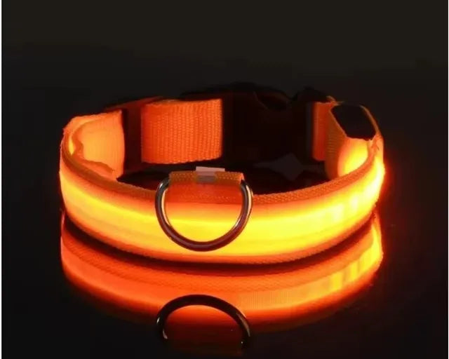 BOOTEELY LED najlonska povodac i ogrlica za pse