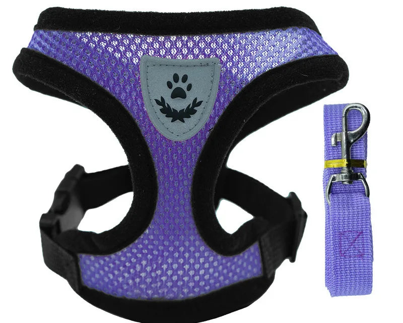 Ljetna Ogrlica i Povodac za Kućne Ljubimce