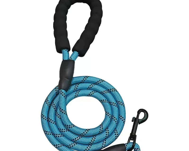 Snažna povodac za pse