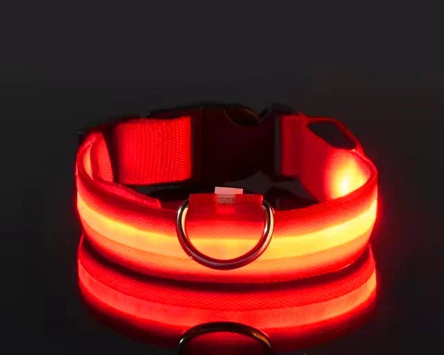 BOOTEELY LED najlonska povodac i ogrlica za pse