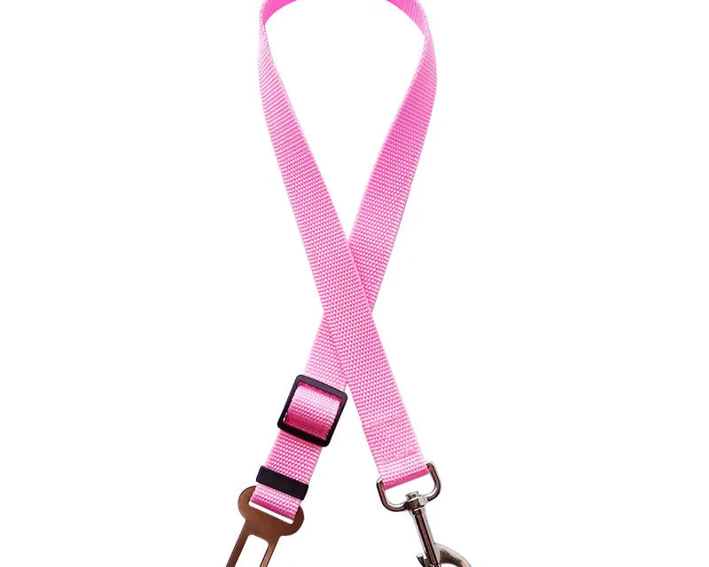 Podesivi pojas za sigurnost pasa u automobilu