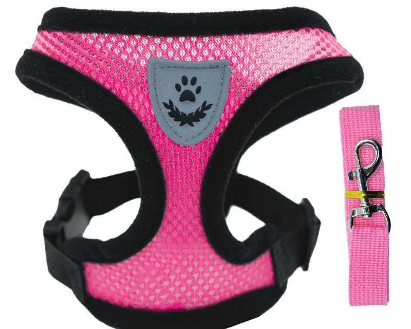 Ljetna Ogrlica i Povodac za Kućne Ljubimce