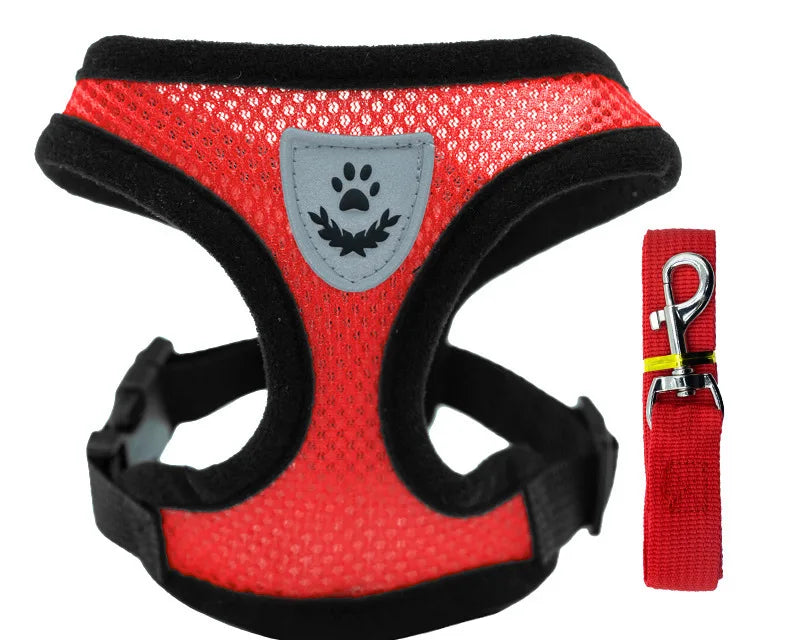 Ljetna Ogrlica i Povodac za Kućne Ljubimce