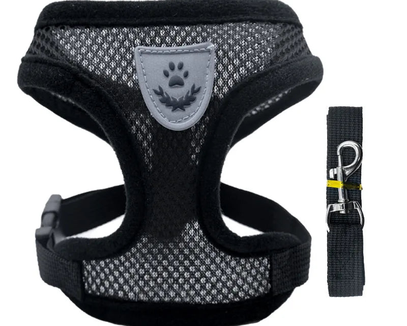 Ljetna Ogrlica i Povodac za Kućne Ljubimce