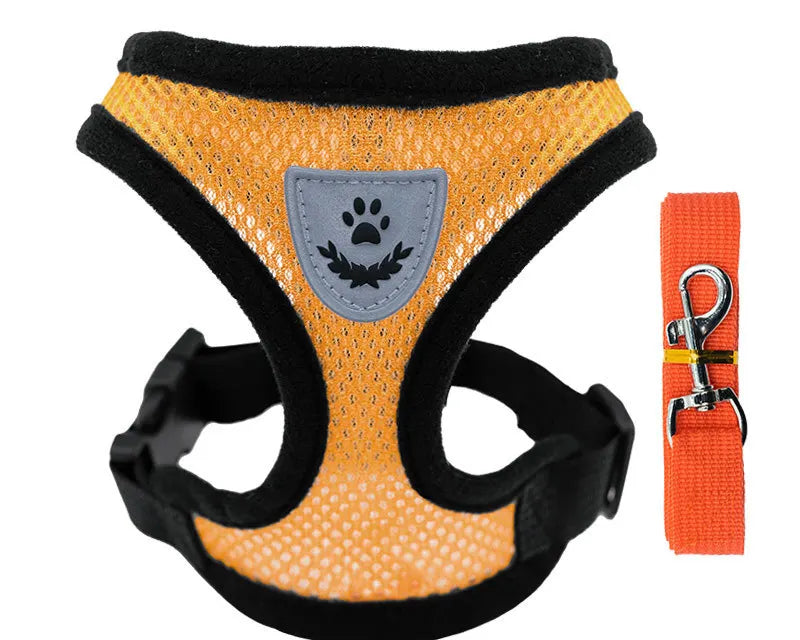 Ljetna Ogrlica i Povodac za Kućne Ljubimce