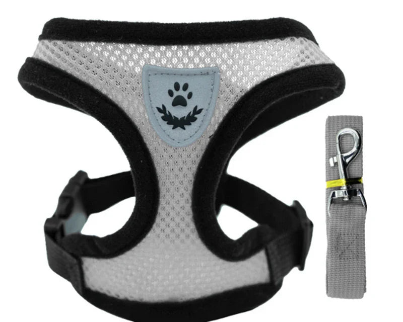 Ljetna Ogrlica i Povodac za Kućne Ljubimce