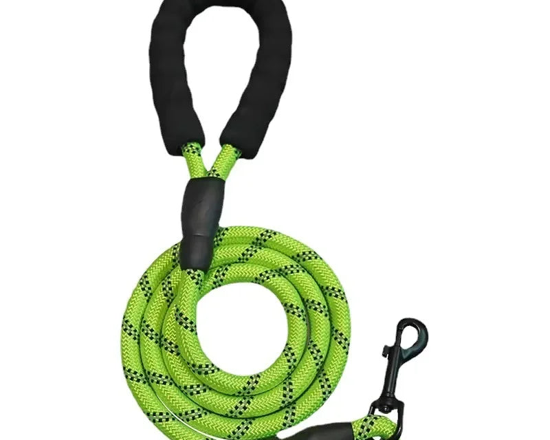Snažna povodac za pse