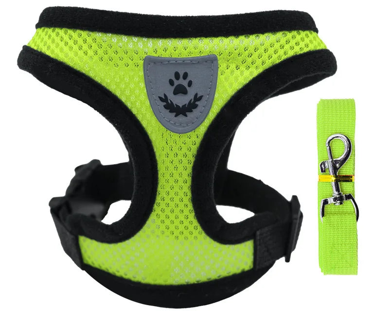 Ljetna Ogrlica i Povodac za Kućne Ljubimce