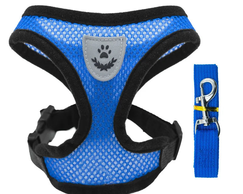 Ljetna Ogrlica i Povodac za Kućne Ljubimce