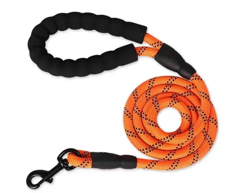 Snažna povodac za pse