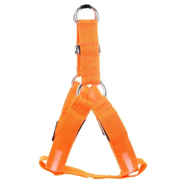 GlowSafe LED Ogrlica za Pse