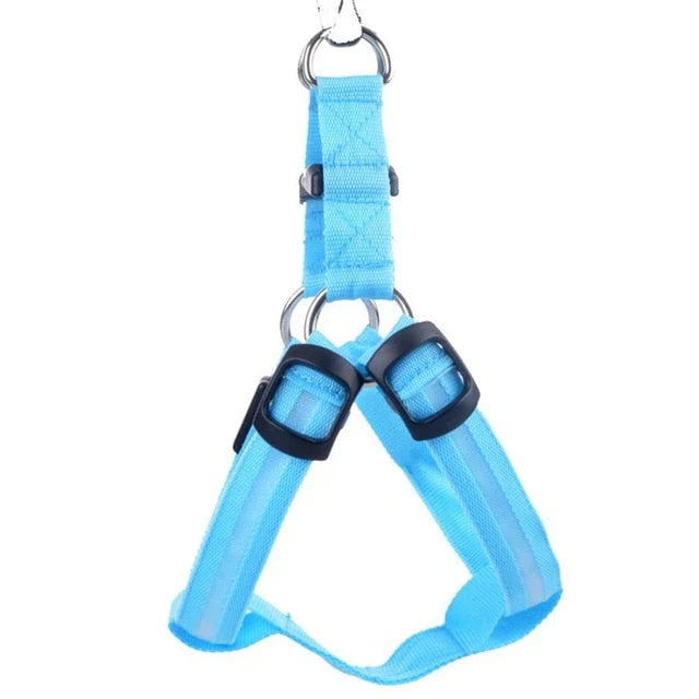 GlowSafe LED Ogrlica za Pse